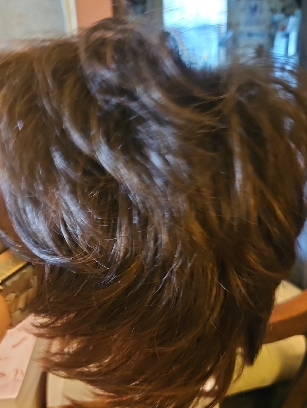 Natural-Look Short Layered Women’s Wig - Brown By ENVY WIGS